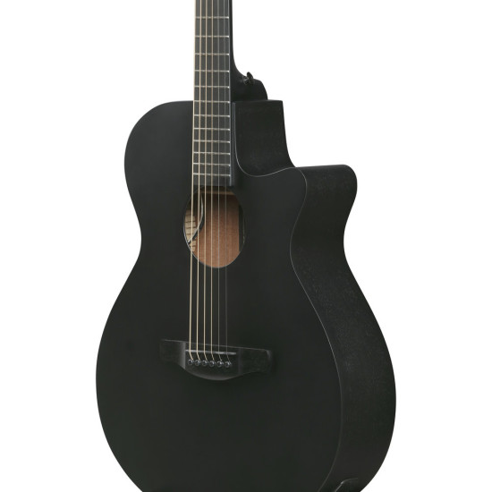 Ibanez AEG621 Black Out Acoustic Guitar