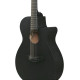 Ibanez AEG621 Black Out Acoustic Guitar