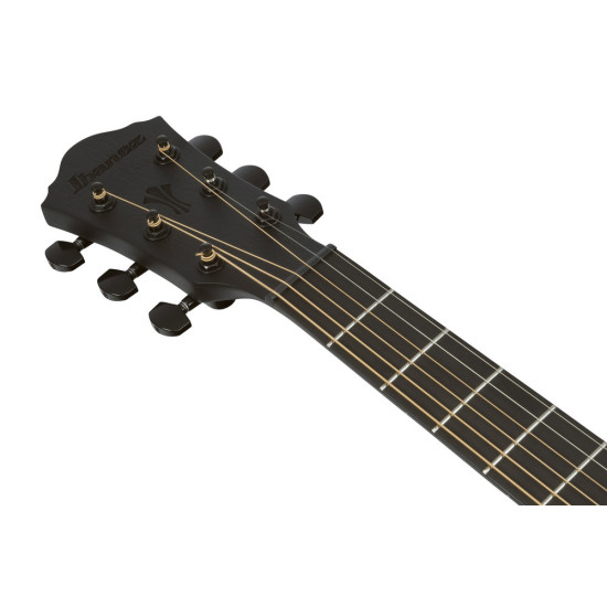 Ibanez AEG621 Black Out Acoustic Guitar
