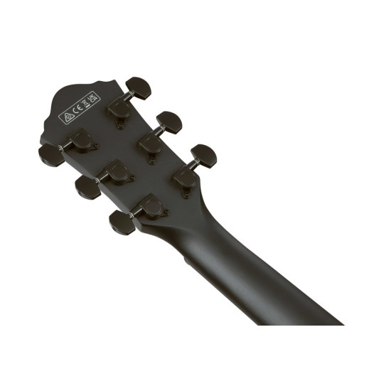 Ibanez AEG621 Black Out Acoustic Guitar
