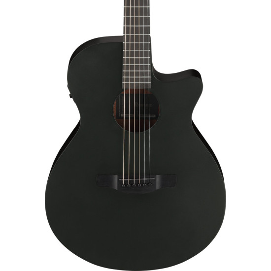 Ibanez AEG621 Black Out Acoustic Guitar