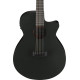 Ibanez AEG621 Black Out Acoustic Guitar