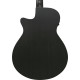 Ibanez AEG621 Black Out Acoustic Guitar