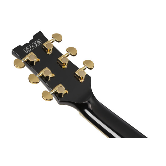 Ibanez AM73G Black Electric Guitar