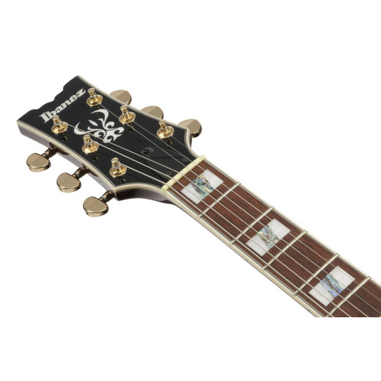 Ibanez AR320 Midnight Black Metallic Electric Guitar