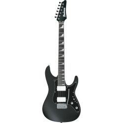 Ibanez BER10 Bernth Signature Guitar