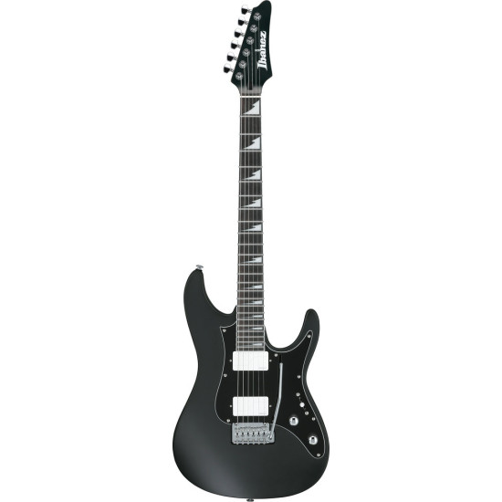 Ibanez BER10 Bernth Signature Guitar