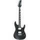 Ibanez BER10 Bernth Signature Guitar
