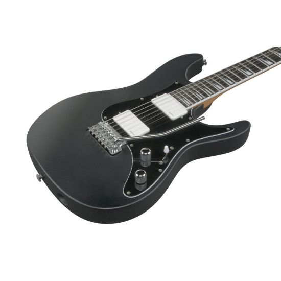 Ibanez BER10 Bernth Signature Guitar