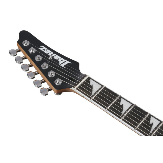Ibanez BER10 Bernth Signature Guitar