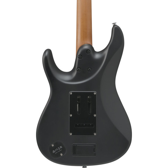 Ibanez BER10 Bernth Signature Guitar
