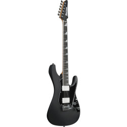 Ibanez BER10 Bernth Signature Guitar
