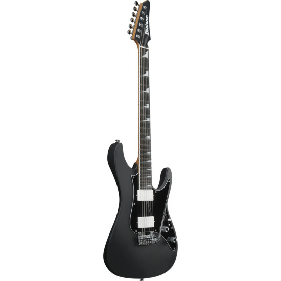 Ibanez BER10 Bernth Signature Guitar