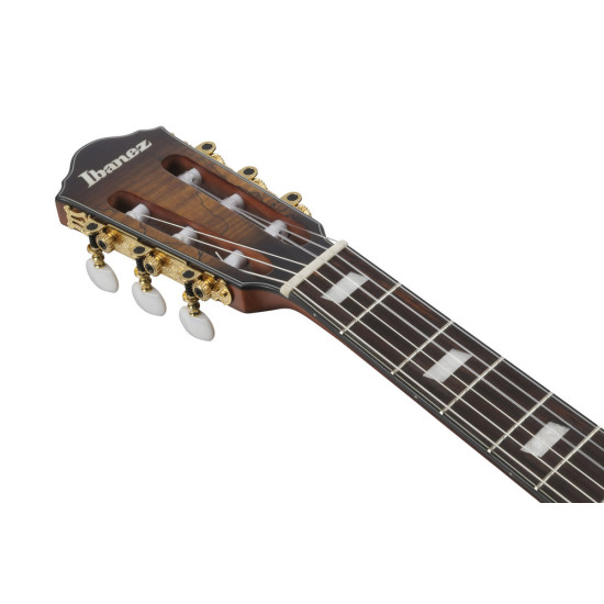 Ibanez FRH20QMN Tobacco Burst Low Gloss Nylon String Guitar