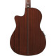 Ibanez GA35TCE Natural High Gloss Acoustic Guitar