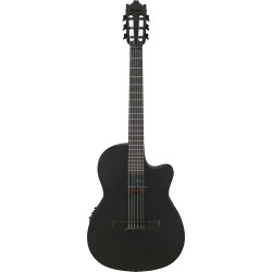 Ibanez GA621 Black Out Acoustic Guitar