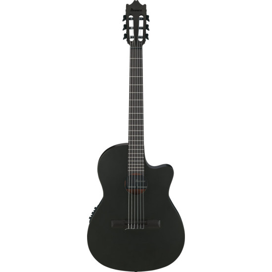 Ibanez GA621 Black Out Acoustic Guitar