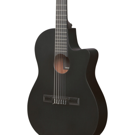Ibanez GA621 Black Out Acoustic Guitar