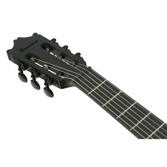 Ibanez GA621 Black Out Acoustic Guitar