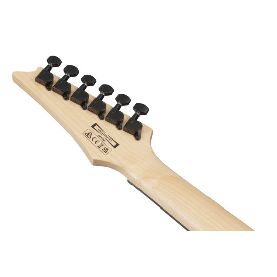 Ibanez GRG120QASP Black Gradation Electric Guitar