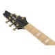 Ibanez IC420MFM Caramel Burst Low Gloss Electric Guitar