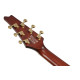 Ibanez IC420MFM Caramel Burst Low Gloss Electric Guitar