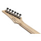 Ibanez RGA21P1PB Deep Twilight Burst Low Gloss Electric Guitar with Bag