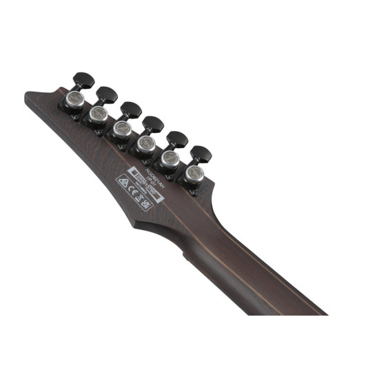 Ibanez RGD621AH Midnight Shade Flat Electric Guitar