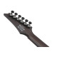 Ibanez RGD621AH Midnight Shade Flat Electric Guitar