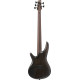 Ibanez SR1325SB Icebreaker Wave Flat Electric Bass