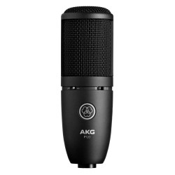 AKG P-120 General Purpose Recording Microphone