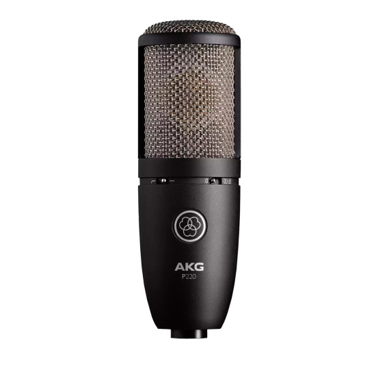 AKG P-220  Large Diaphragm True Condenser Microphone