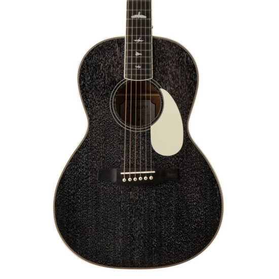 PRS SE P20E: P20E Dog Hair, Gloss Top, Satin Back