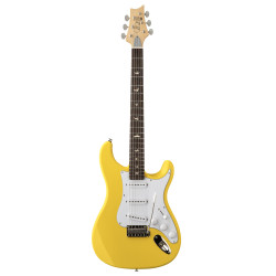 PRS 116258::1R: SE Silver Sky: Dandy Lion