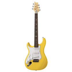 PRS 116260::1R: SE Silver Sky Lefty: Dandy Lion