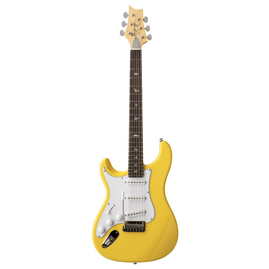 PRS 116260::1R: SE Silver Sky Lefty: Dandy Lion