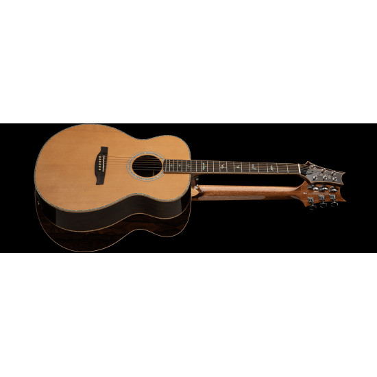PRS SE T60E: Tonare Acoustic Electric w Case