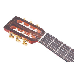 Valencia VA434CE Nylon Acoustic Guitar  - Cutaway, Electric Acoustic
