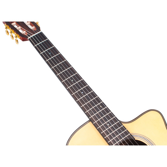 Valencia VA434CE Nylon Acoustic Guitar  - Cutaway, Electric Acoustic