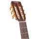 Valencia VA434CECSB Nylon Acoustic Guitar  - Cutaway, Electric Acoustic