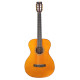 Valencia VA434VNA Nylon Acoustic Guitar