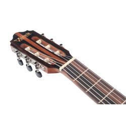 Valencia VC704H “Hybrid” classical guitar.