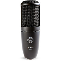 AKG P120 High-Performance Studio Condenser Vocal Microphone 
