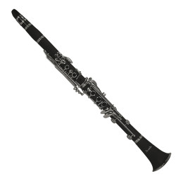 Fontaine Bb Clarinet + Case 