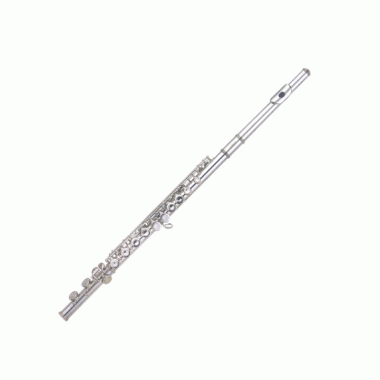 Fontaine C Flute + Case