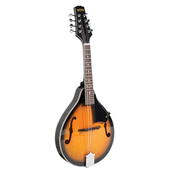 BRYDEN SMA10 Arch Top Mandolin BRYDEN SMA10 Arch Top Mandolin