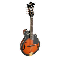 BRYDEN SMA70 Arch Top Mandolin 