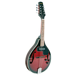 BRYDEN SMA50E Acoustic/Electric Arch Top Mandolin