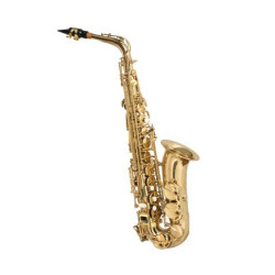 Fontaine Eb Alto Saxophone + Case