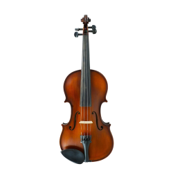 Gliga III 1/2 Size Violin Outfit + Case & Bow w/Pirastro Tonica Strings 
